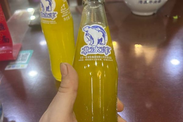 Arctic Ocean Orange Soda