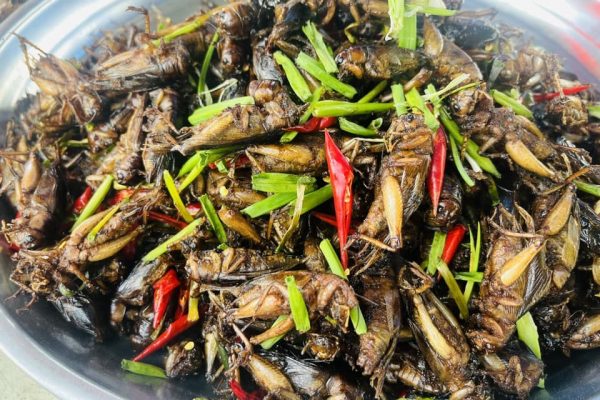 Food in Democratic Kampuchea