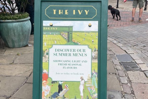The Ivy